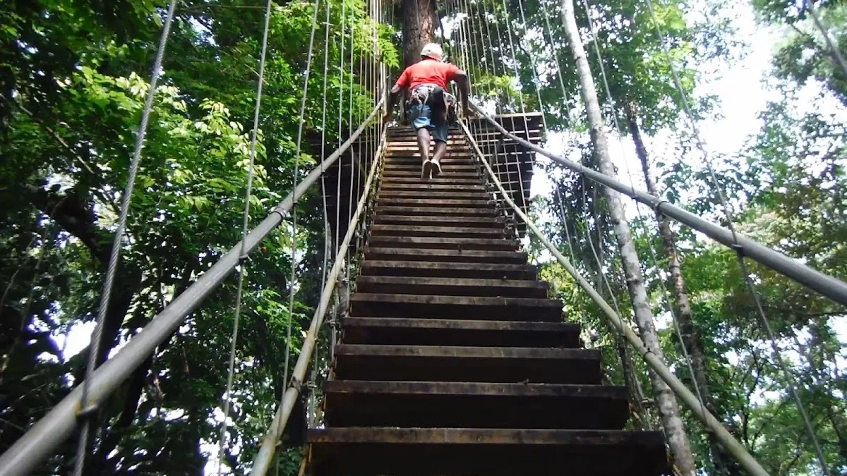 Bastimentos Sky Zipline Canopy Tour