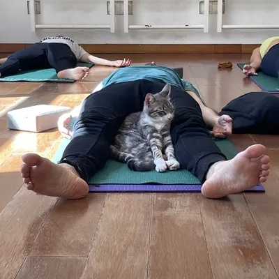 Yoga Thai Massage