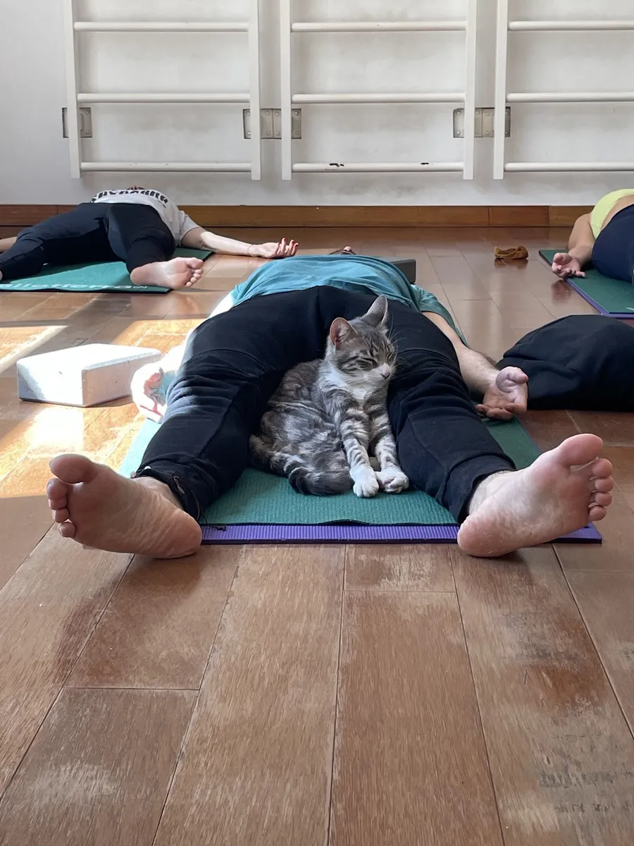 Yoga Thai Massage